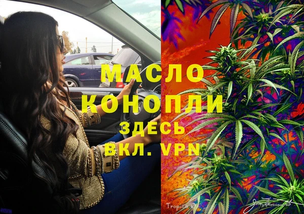 гидра Коряжма