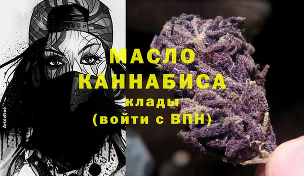 гидра Коряжма