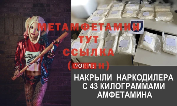 гидра Коряжма