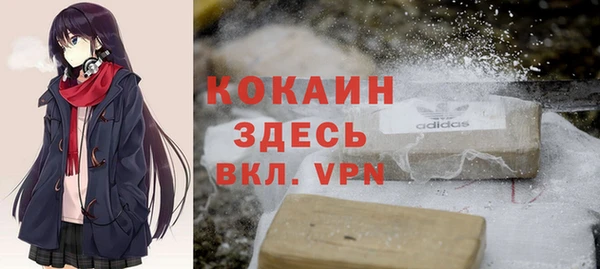 гидра Коряжма