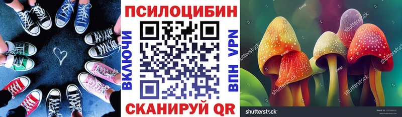 Псилоцибиновые грибы мицелий  Купить  Краснообск 